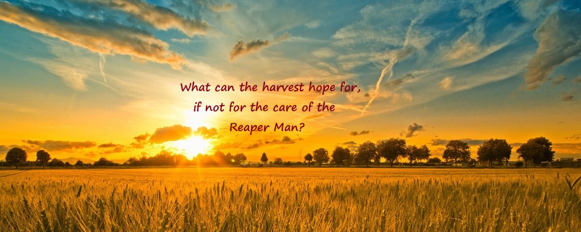 The Weatherwax Report